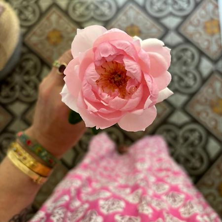 Le Logis Blanc Bed&Breakfast Coursan 外观 照片