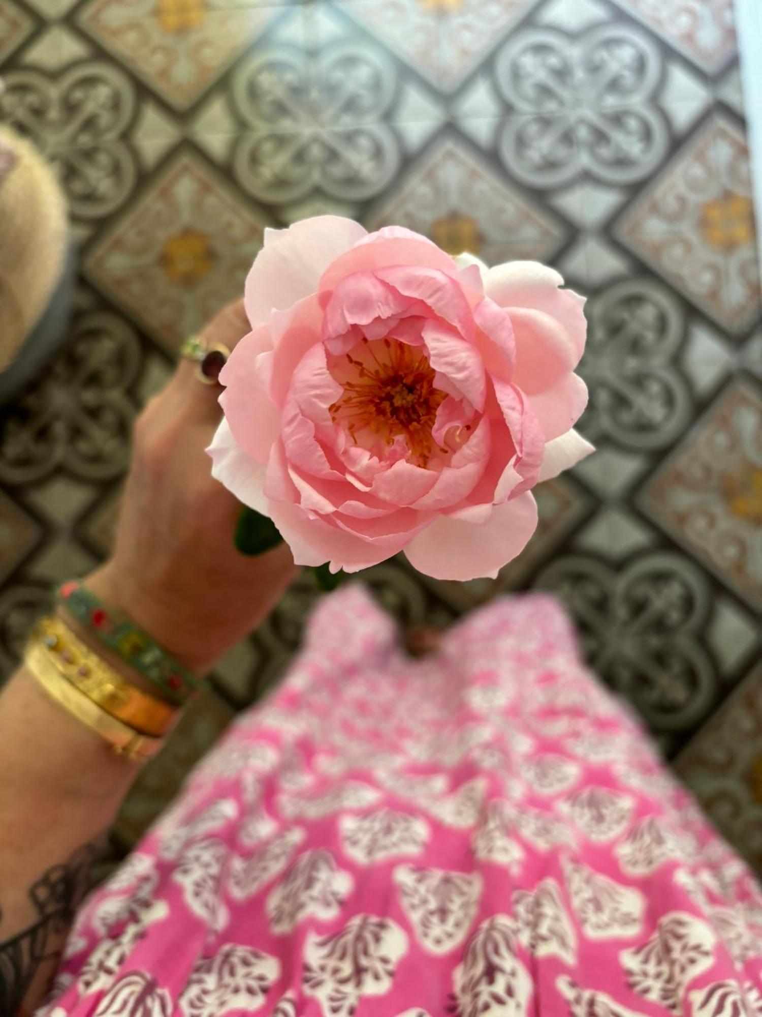Le Logis Blanc Bed&Breakfast Coursan 外观 照片
