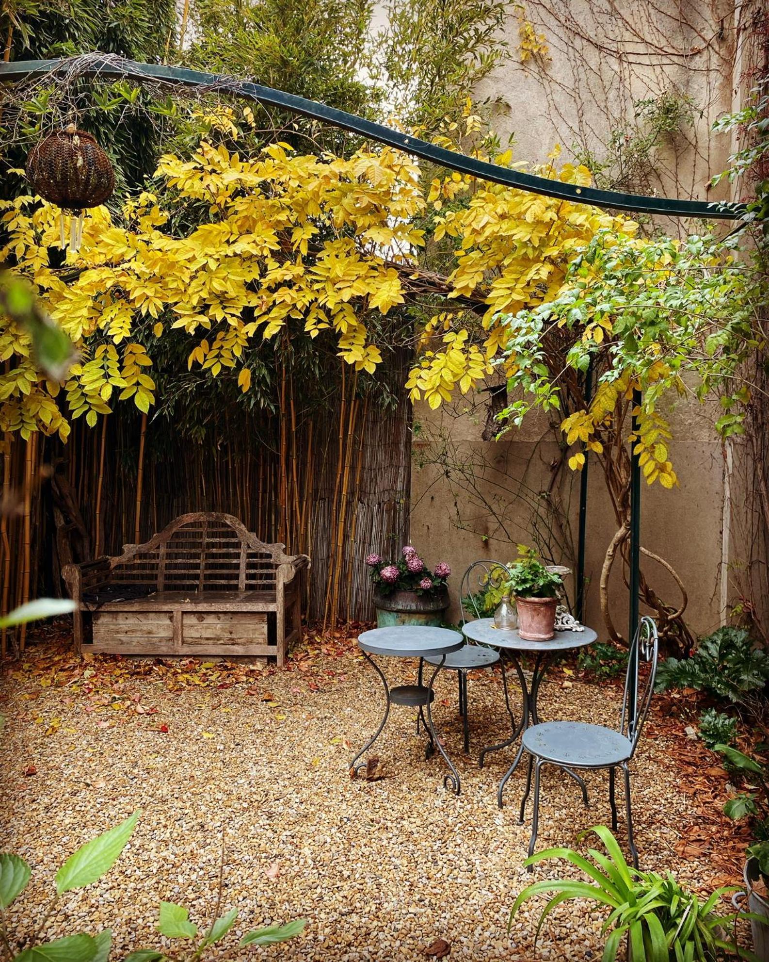 Le Logis Blanc Bed&Breakfast Coursan 外观 照片