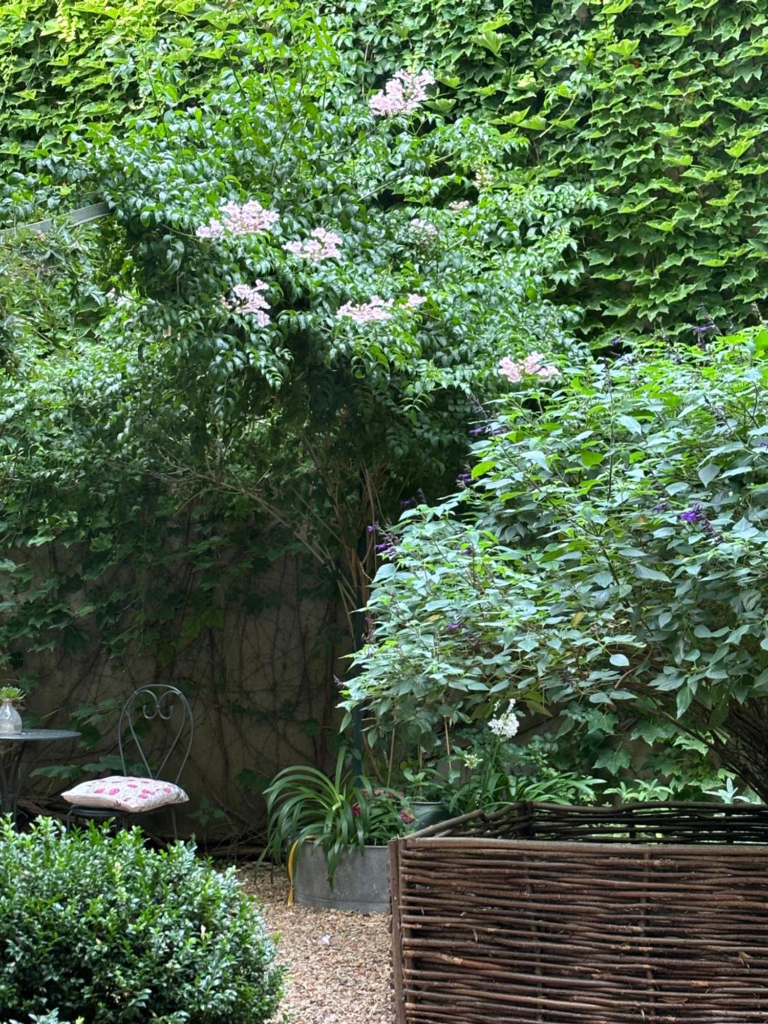 Le Logis Blanc Bed&Breakfast Coursan 外观 照片