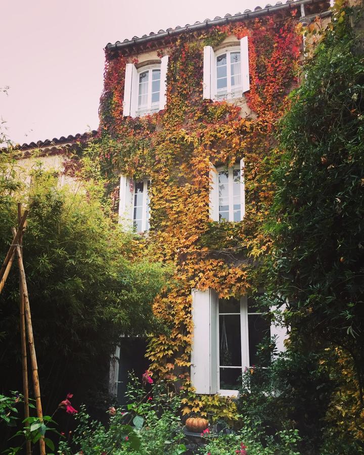Le Logis Blanc Bed&Breakfast Coursan 外观 照片