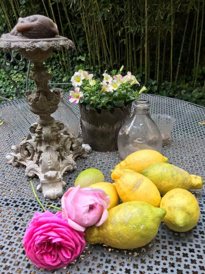 Le Logis Blanc Bed&Breakfast Coursan 外观 照片